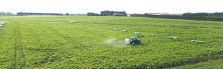 Image of tow and fert spraying over wintering block