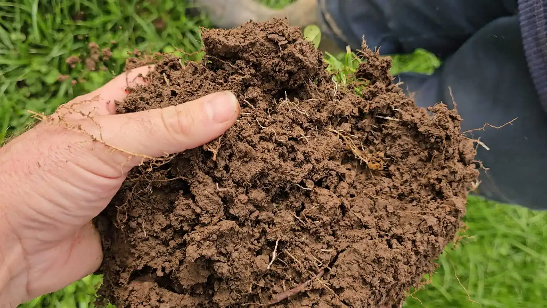 A patch of soil being held